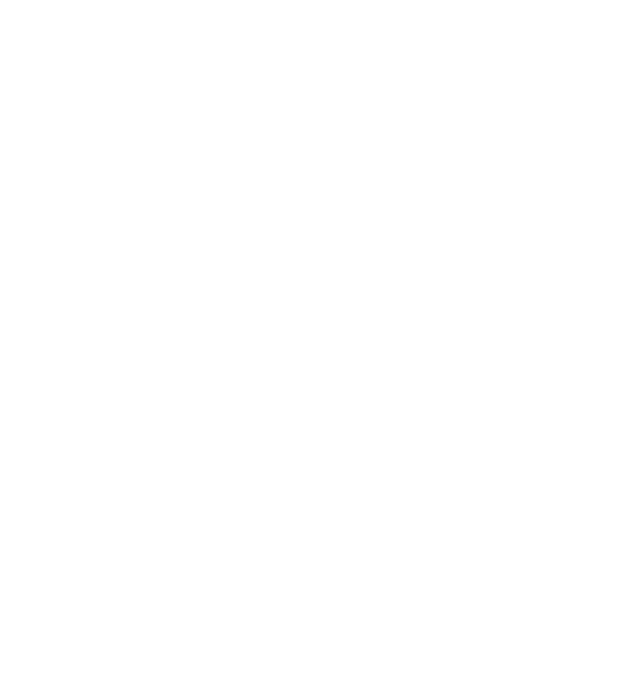 Holly TX Logistics Services LLC logo